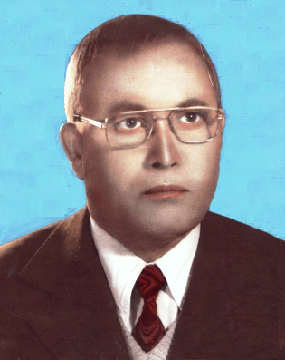 سعید امولانا فغانی